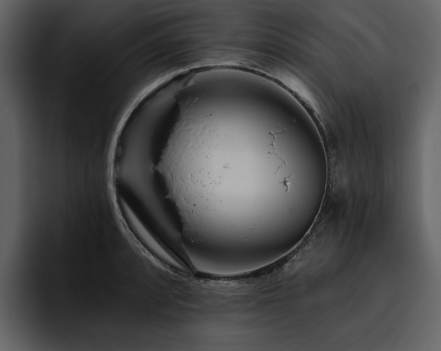 X0000095931088200801111250