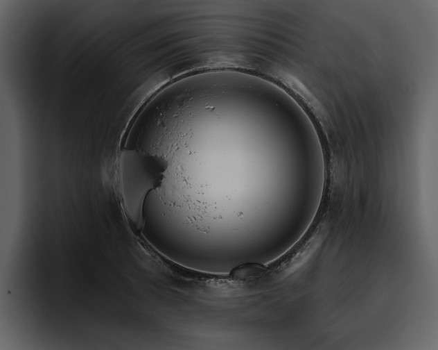 X0000095931089200801111250