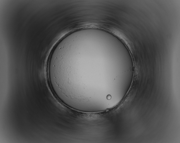 X0000095931090200801111250