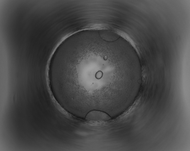 X0000095931091200801111250