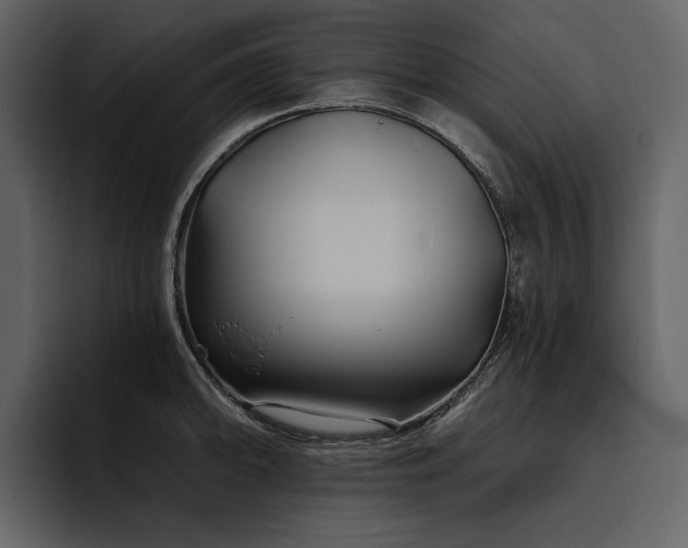 X0000095931094200801111250
