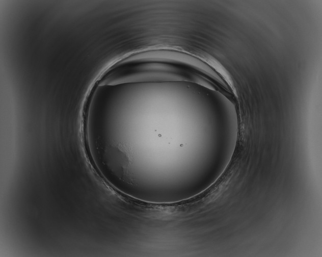 X0000095931096200801111250