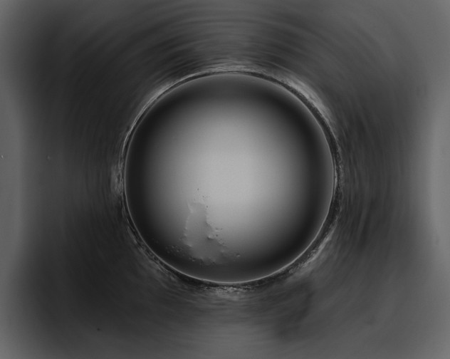 X0000095931097200801111250