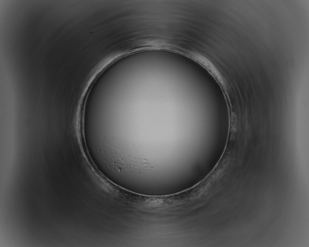 X0000095931098200801111250