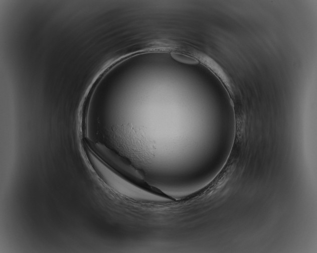 X0000095931099200801111250