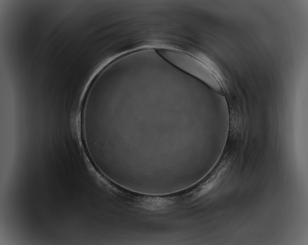 X0000095931100200801111250