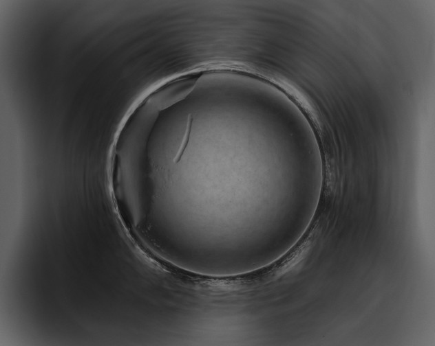 X0000095931102200801111250