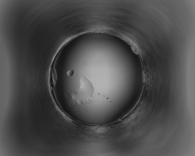 X0000095931103200801111250