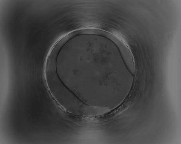 X0000095931104200801111250