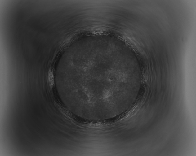 X0000095931106200801111249