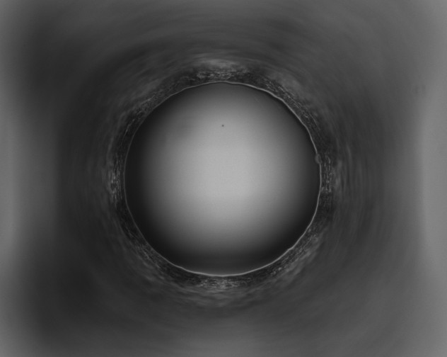X0000095931109200801111249