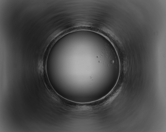 X0000095931113200801111249