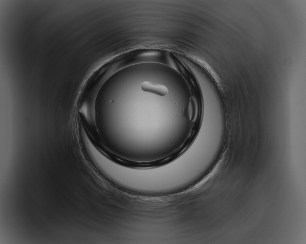 X0000095931114200801111249