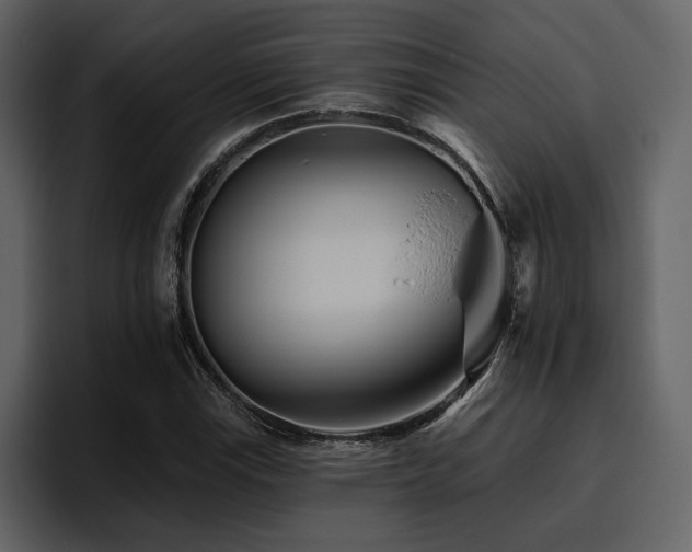 X0000095931115200801111249