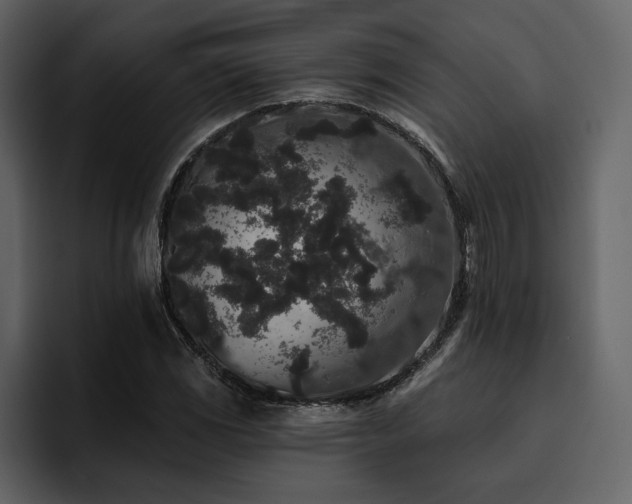X0000095931117200801111249