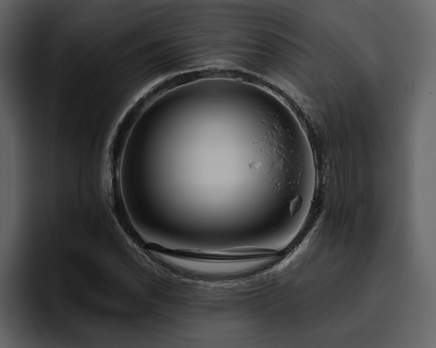 X0000095931118200801111249
