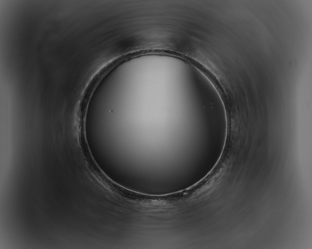 X0000095931119200801111249