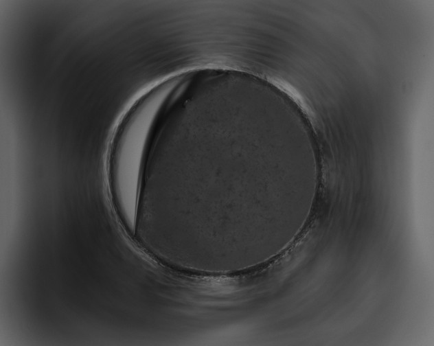 X0000095931120200801111249