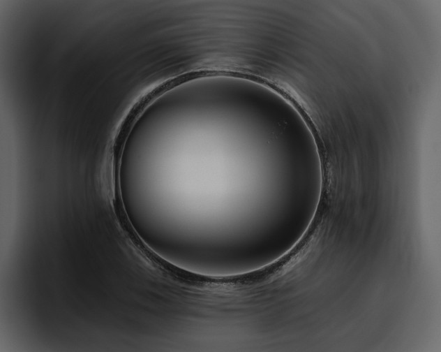 X0000095931123200801111250