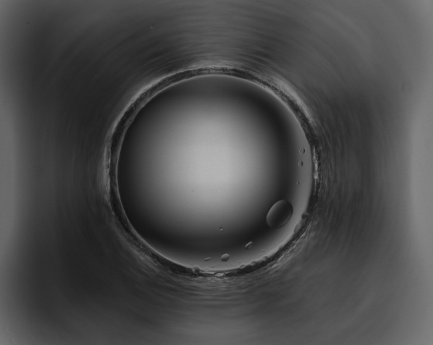 X0000095931124200801111250