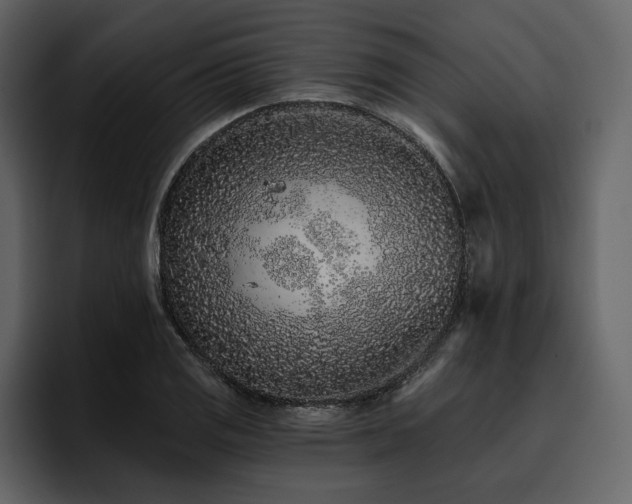 X0000095931125200801111250