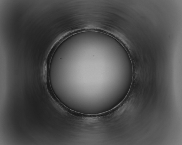 X0000095931126200801111250