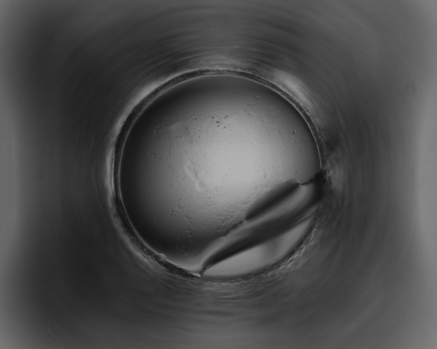 X0000095931128200801111250