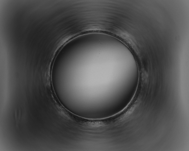 X0000095931129200801111250
