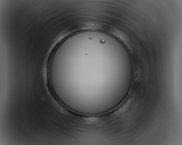 X0000095931130200801111250