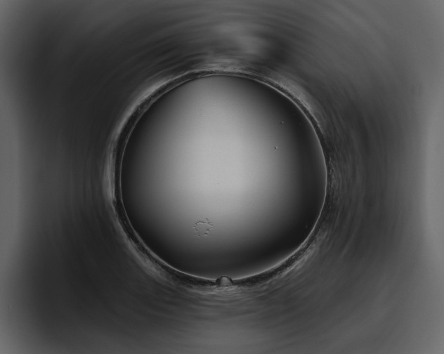 X0000095931131200801111250