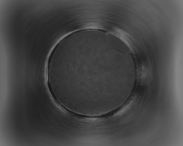 X0000095931132200801111250