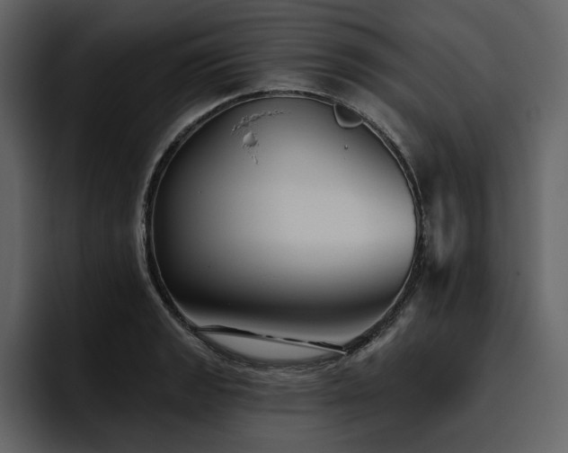 X0000095931133200801111250