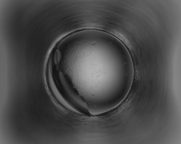X0000095931136200801111250