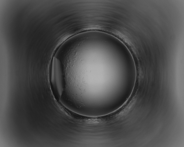 X0000095931137200801111250