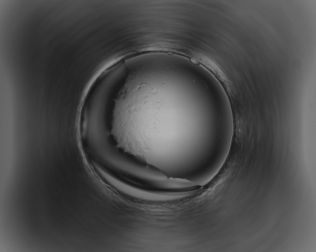 X0000095931138200801111250