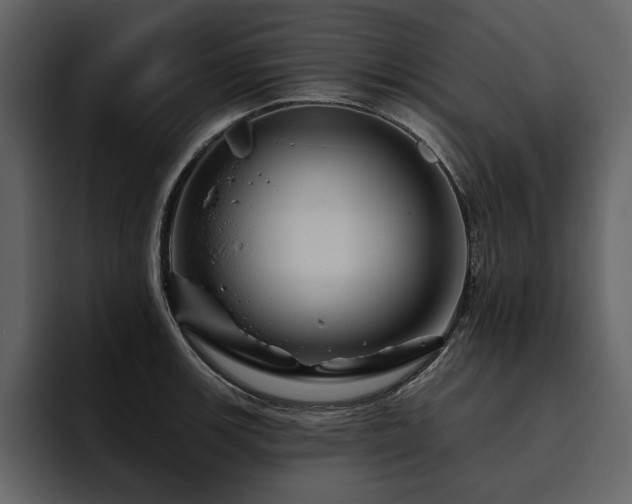 X0000095931139200801111250