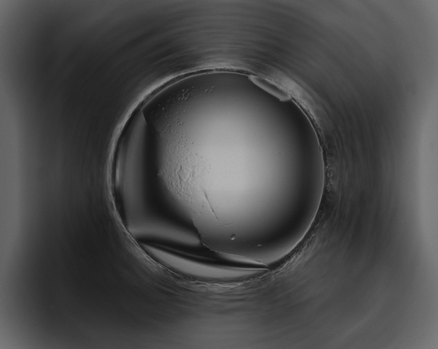 X0000095931140200801111250