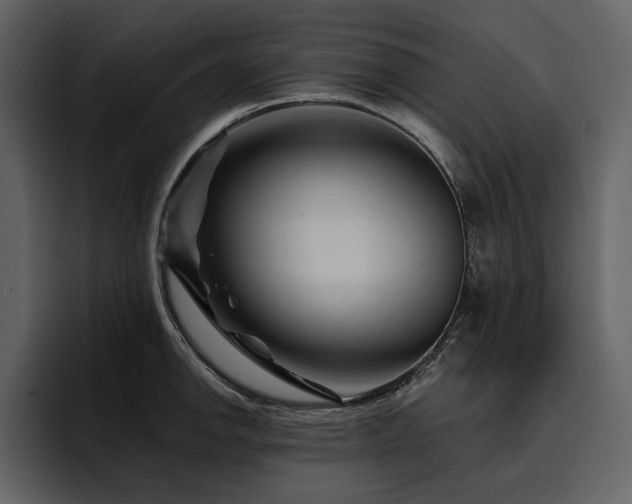 X0000095931142200801111250