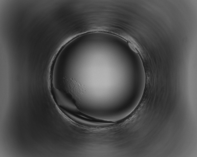 X0000095931143200801111250