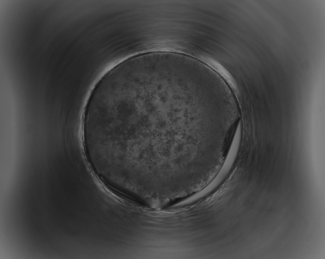 X0000095931144200801111250