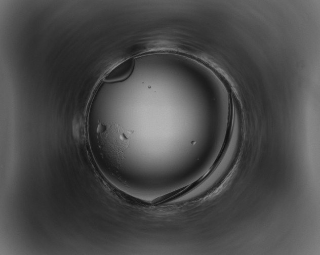 X0000095931145200801111250