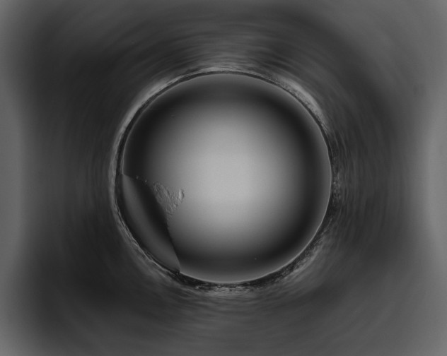 X0000095931146200801111250