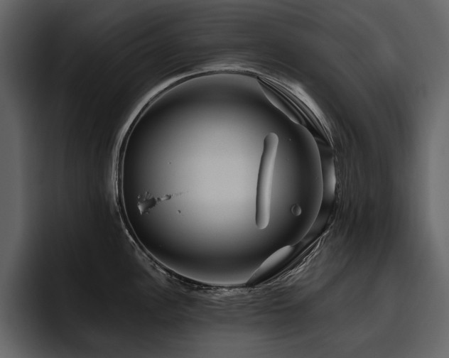 X0000095931148200801111250