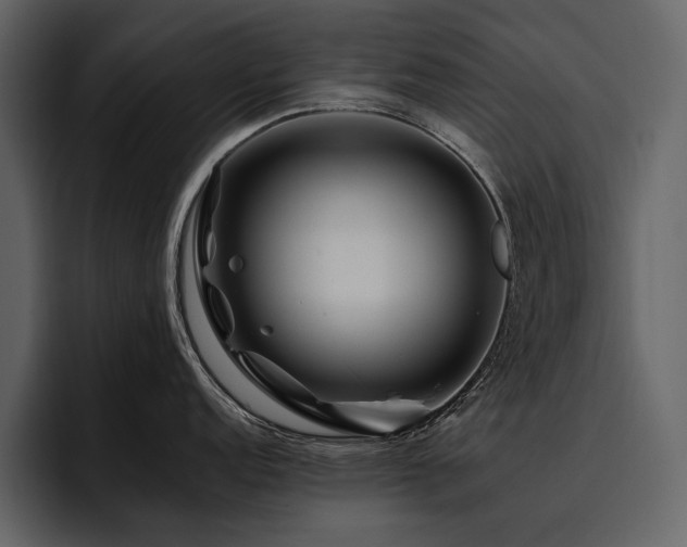 X0000095931152200801111250