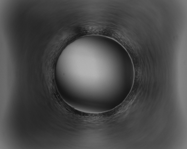 X0000095931153200801111249
