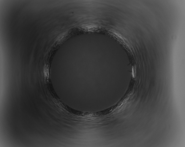 X0000095931155200801111249