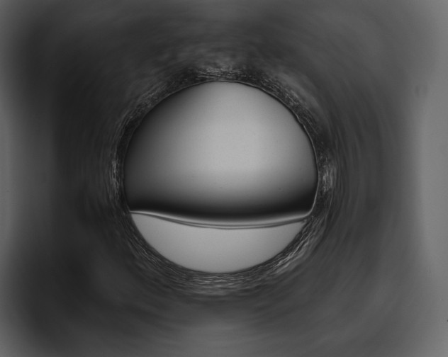 X0000095931156200801111249