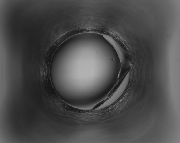 X0000095931158200801111249