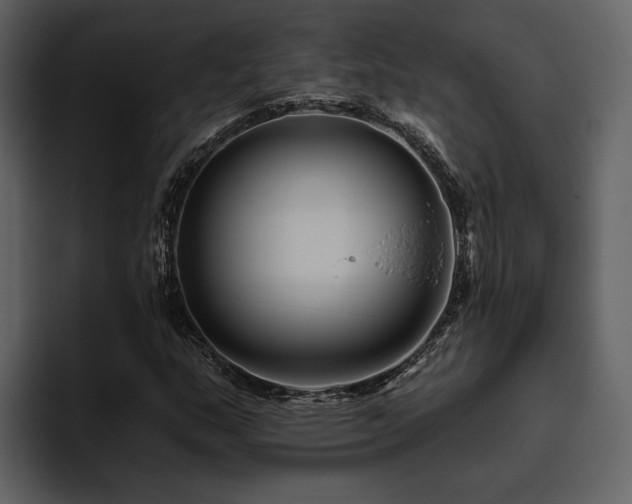 X0000095931159200801111249