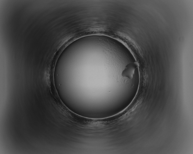 X0000095931162200801111249